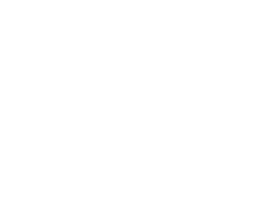 White Logo